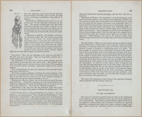 E675 - A System of Human Anatomy - 1857 - 4593-4594
