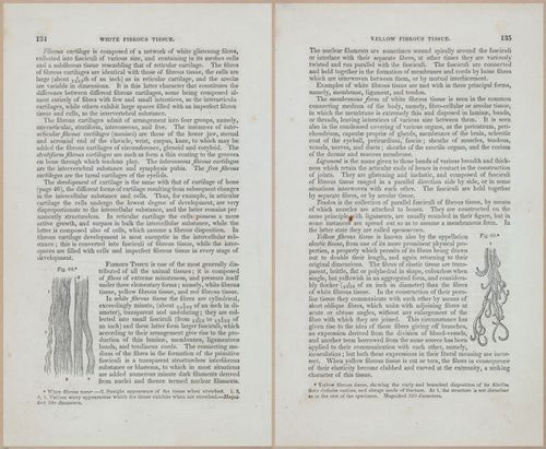 E675 - A System of Human Anatomy - 1857 - 4599-4600