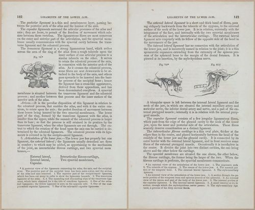 E675 - A System of Human Anatomy - 1857 - 4607-4608