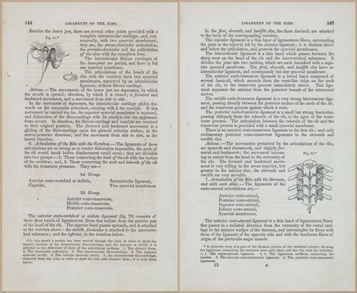E675 - A System of Human Anatomy - 1857 - 4609-4610
