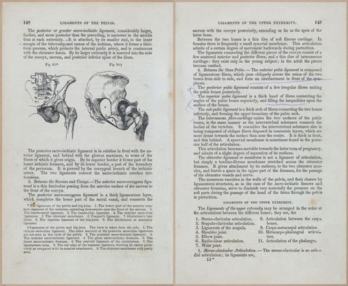 E675 - A System of Human Anatomy - 1857 - 4613-4614