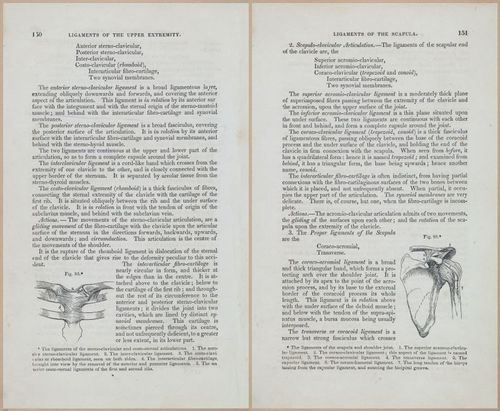 E675 - A System of Human Anatomy - 1857 - 4615-4616