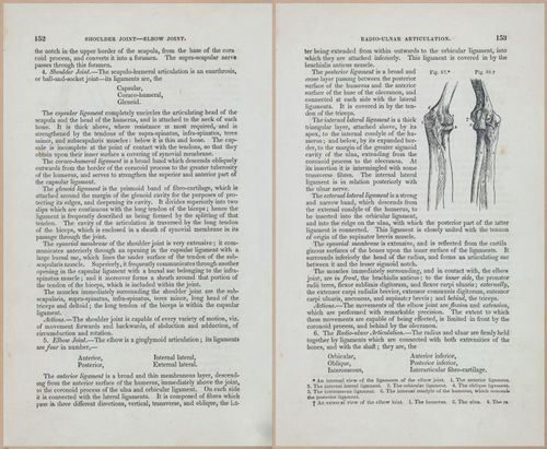 E675 - A System of Human Anatomy - 1857 - 4617-4618
