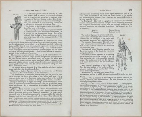E675 - A System of Human Anatomy - 1857 - 4619-4620