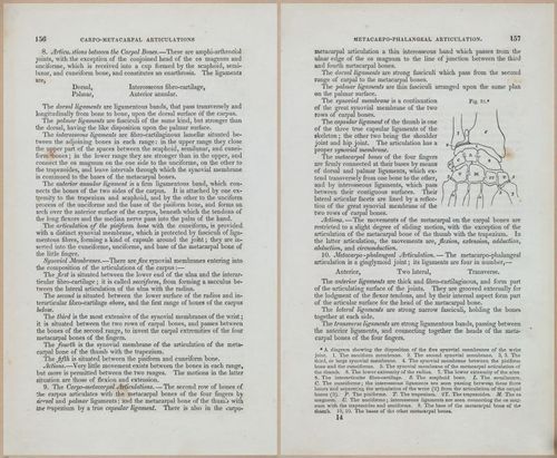 E675 - A System of Human Anatomy - 1857 - 4621-4622