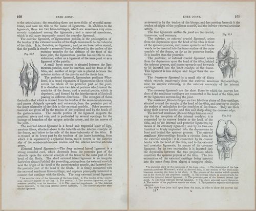 E675 - A System of Human Anatomy - 1857 - 4625-4626