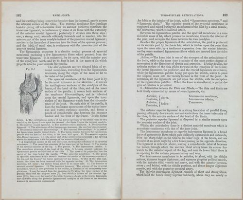 E675 - A System of Human Anatomy - 1857 - 4627-4628