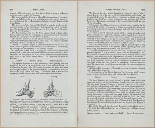 E675 - A System of Human Anatomy - 1857 - 4629-4630