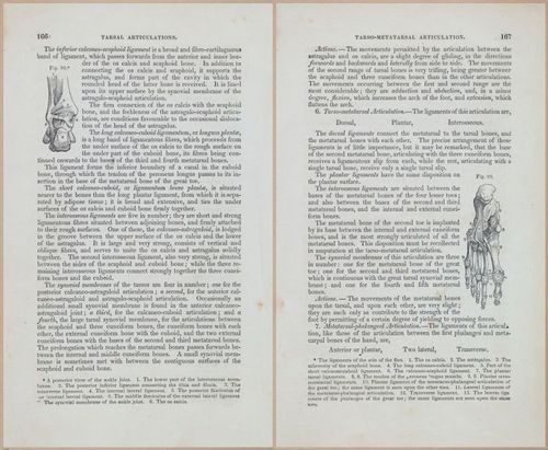 E675 - A System of Human Anatomy - 1857 - 4631-4632