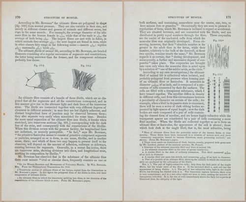 E675 - A System of Human Anatomy - 1857 - 4635-4636