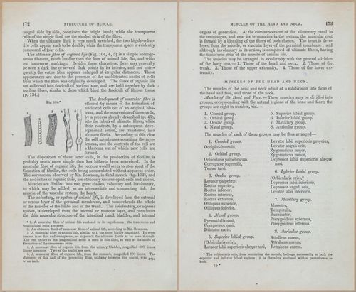 E675 - A System of Human Anatomy - 1857 - 4637-4638
