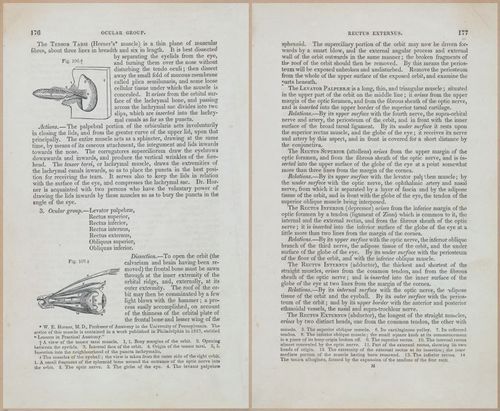 E675 - A System of Human Anatomy - 1857 - 4641-4642