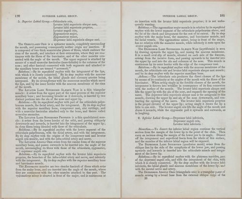 E675 - A System of Human Anatomy - 1857 - 4645-4646