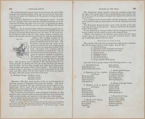 E675 - A System of Human Anatomy - 1857 - 4649-4650