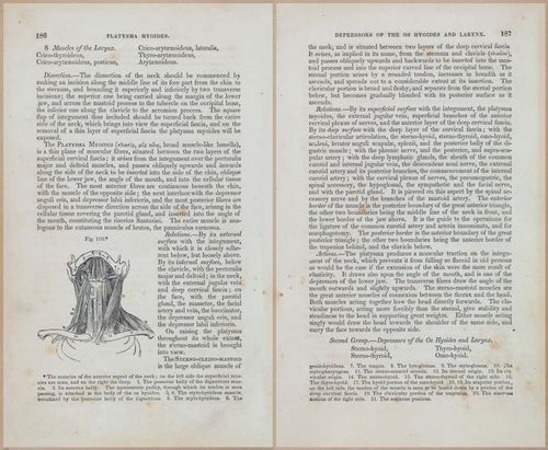 E675 - A System of Human Anatomy - 1857 - 4651-4652