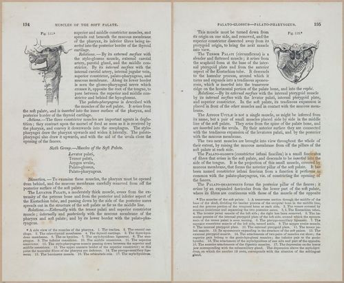 E675 - A System of Human Anatomy - 1857 - 4659-4660