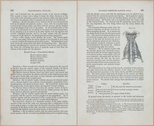 E675 - A System of Human Anatomy - 1857 - 4661-4662
