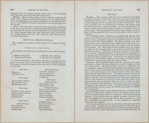 E675 - A System of Human Anatomy - 1857 - 4663-4664
