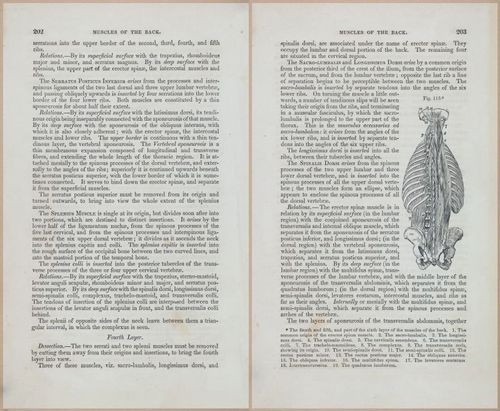 E675 - A System of Human Anatomy - 1857 - 4667-4668