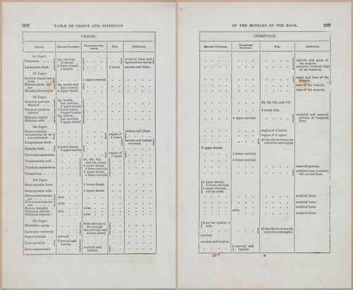 E675 - A System of Human Anatomy - 1857 - 4673-4674
