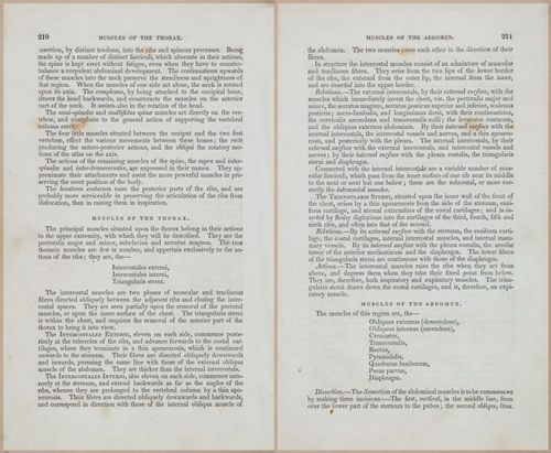 E675 - A System of Human Anatomy - 1857 - 4675-4676