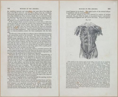 E675 - A System of Human Anatomy - 1857 - 4677-4678