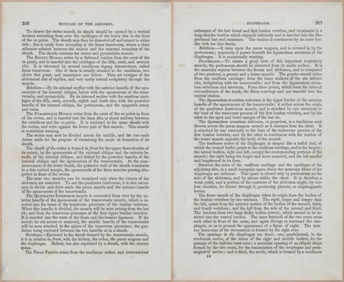 E675 - A System of Human Anatomy - 1857 - 4681-4682
