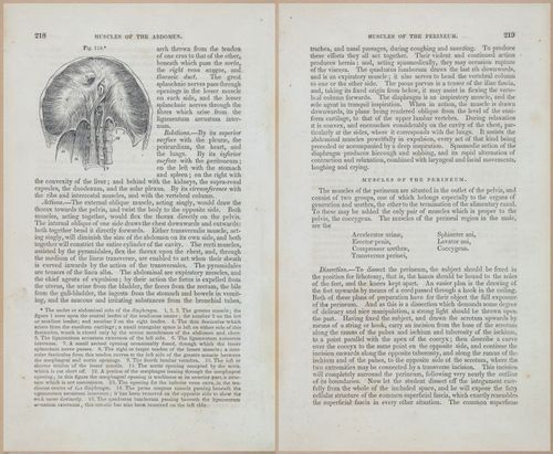 E675 - A System of Human Anatomy - 1857 - 4683-4684