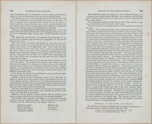 E675 - A System of Human Anatomy - 1857 - 4687-4688