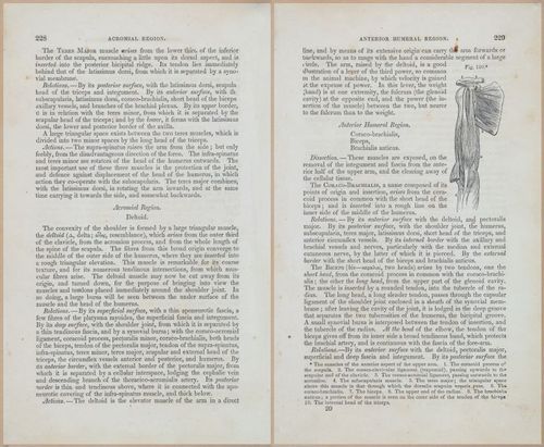 E675 - A System of Human Anatomy - 1857 - 4694-4695