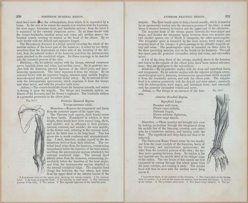E675 - A System of Human Anatomy - 1857 - 4696-4697