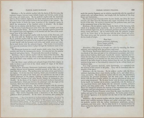 E675 - A System of Human Anatomy - 1857 - 4698-4699