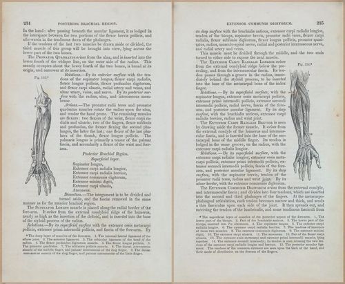 E675 - A System of Human Anatomy - 1857 - 4700-4701