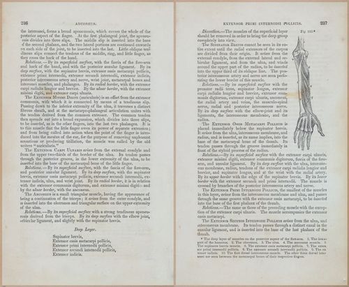 E675 - A System of Human Anatomy - 1857 - 4702-4703