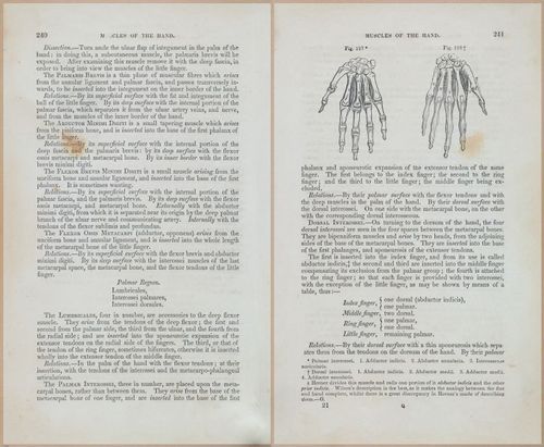 E675 - A System of Human Anatomy - 1857 - 4706-4707