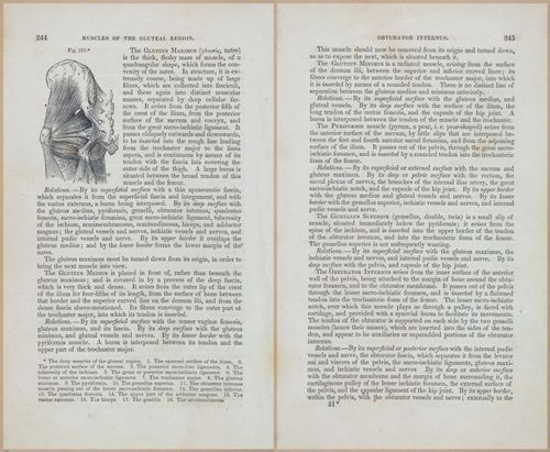 E675 - A System of Human Anatomy - 1857 - 4710-4711