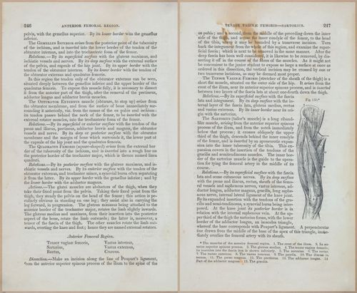 E675 - A System of Human Anatomy - 1857 - 4712-4713