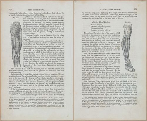 E675 - A System of Human Anatomy - 1857 - 4718-4719