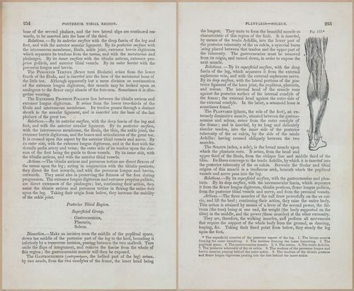 E675 - A System of Human Anatomy - 1857 - 4720-4721