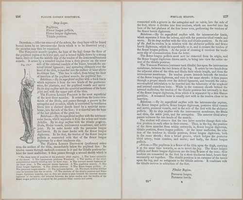 E675 - A System of Human Anatomy - 1857 - 4722-4723
