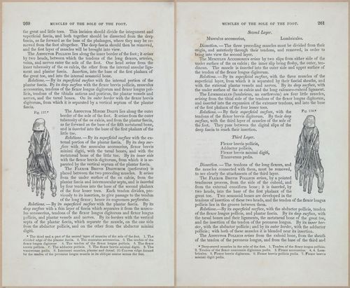 E675 - A System of Human Anatomy - 1857 - 4726-4727
