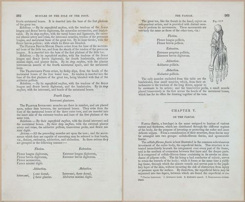 E675 - A System of Human Anatomy - 1857 - 4728-4729