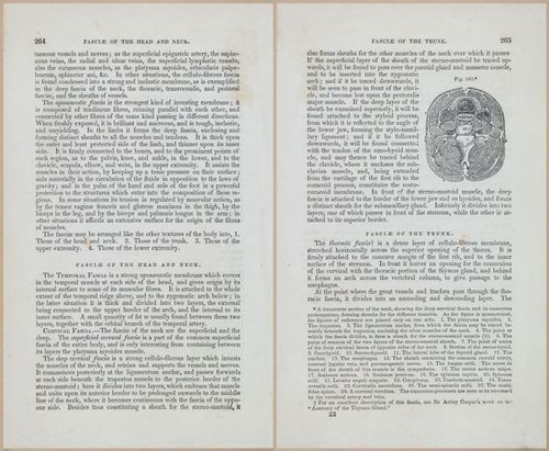 E675 - A System of Human Anatomy - 1857 - 4730-4731