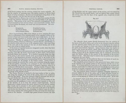 E675 - A System of Human Anatomy - 1857 - 4734-4735