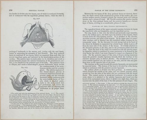 E675 - A System of Human Anatomy - 1857 - 4736-4737