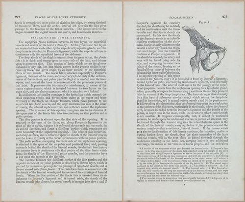 E675 - A System of Human Anatomy - 1857 - 4738-4739