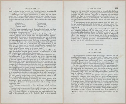 E675 - A System of Human Anatomy - 1857 - 4740-4741