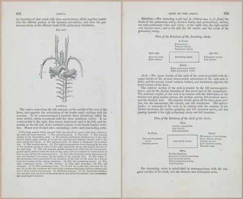 E675 - A System of Human Anatomy - 1857 - 4744-4745