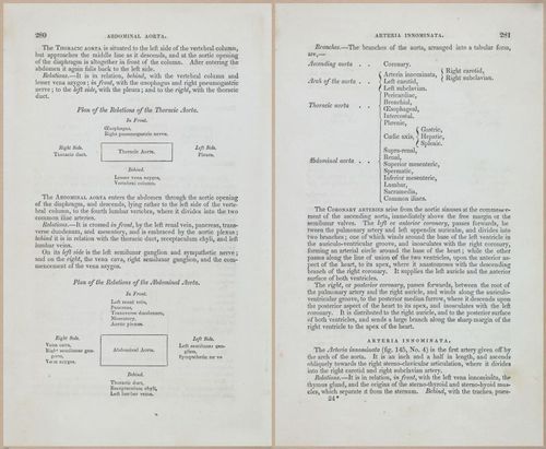 E675 - A System of Human Anatomy - 1857 - 4746-4747