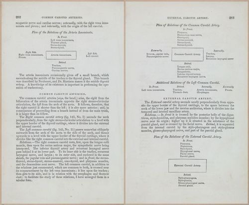 E675 - A System of Human Anatomy - 1857 - 4748-4749